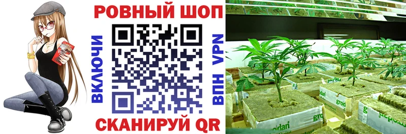 Наркотические вещества Камышлов OMG ССЫЛКА Альфа ПВП ГАШ КОКАИН Конопля