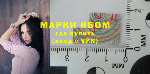 сатива Алексеевка