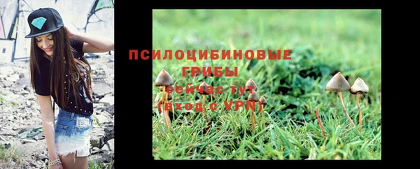 не бодяженный Абдулино