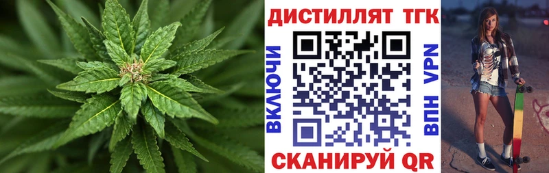 OMG маркетплейс  Камышлов  ТГК вейп с тгк 